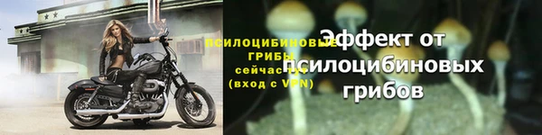 герыч Зеленокумск